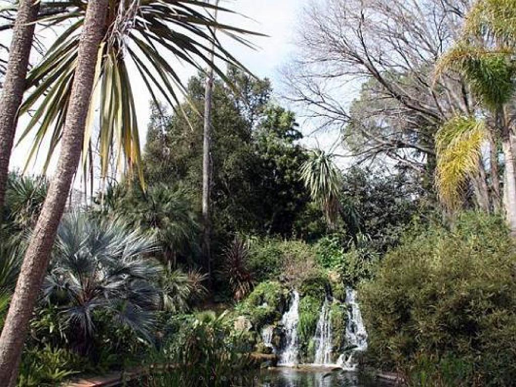 183 D35 PARC OLBIUS RIQUIER A HYERES_000052.jpg